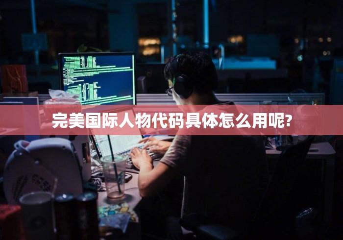 完美国际人物代码具体怎么用呢?