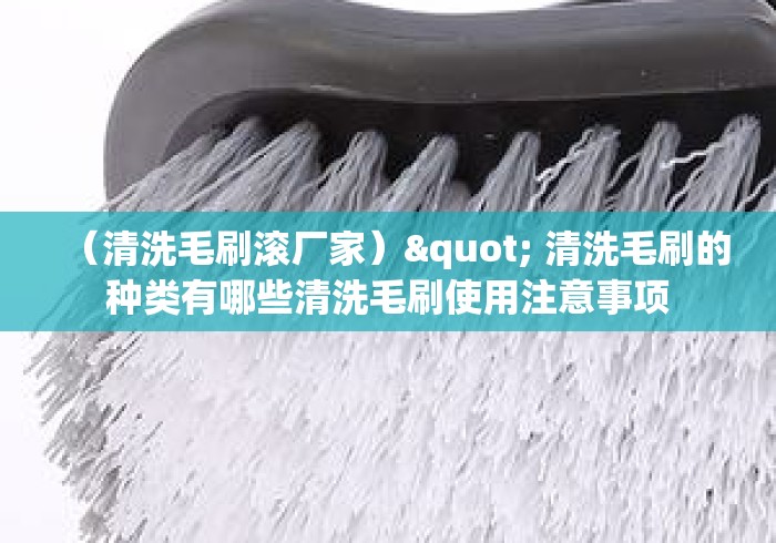 (清洗毛刷滚厂家)" 清洗毛刷的种类有哪些清洗毛刷使用注意事项 (清洗毛刷滚厂家)" 清洗毛刷的种类有哪些清洗毛刷使用注意事项