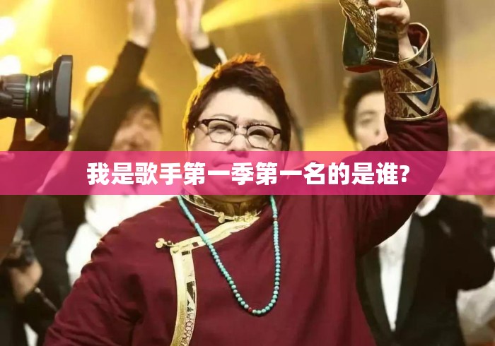 我是歌手第一季第一名的是谁?