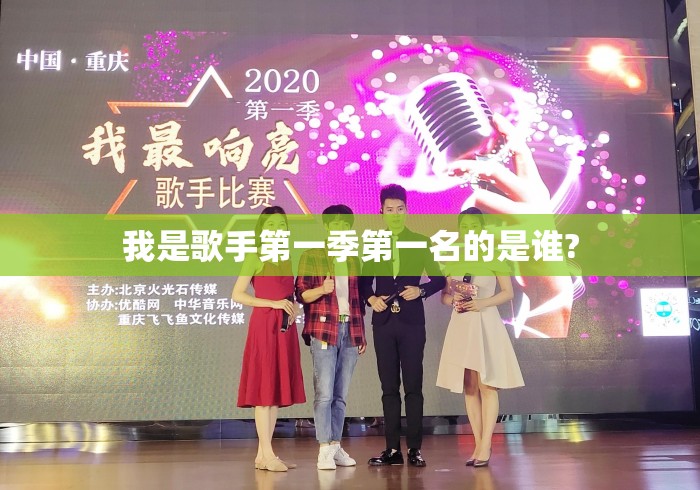我是歌手第一季第一名的是谁?