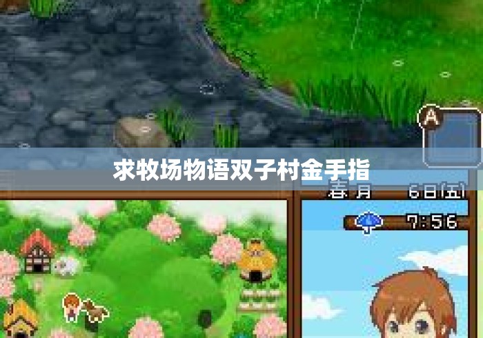 求牧场物语双子村金手指，牧场物语双子村金手指代码大全