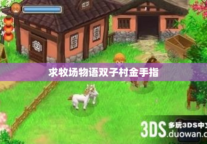 求牧场物语双子村金手指 求牧场物语双子村金手指