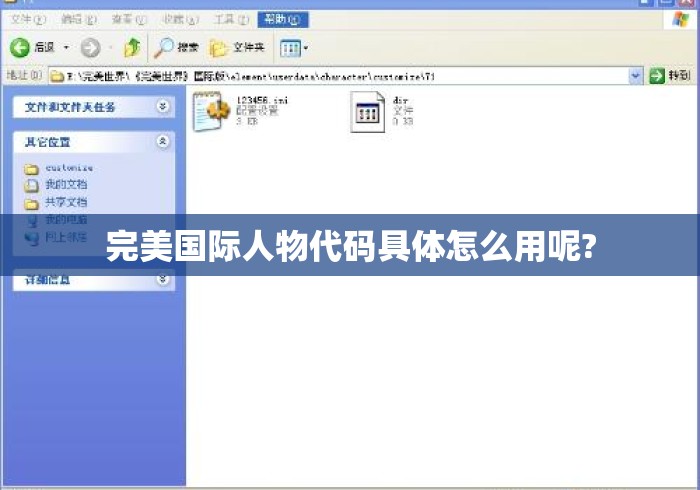 完美国际人物代码具体怎么用呢?