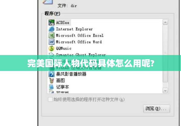 完美国际人物代码具体怎么用呢?