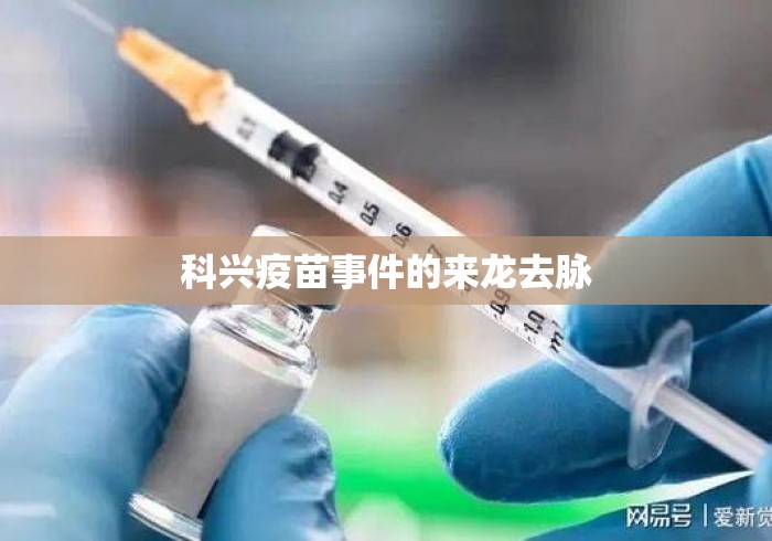科兴疫苗事件的来龙去脉 科兴疫苗事件的来龙去脉