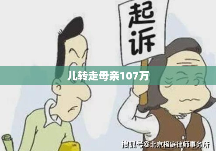 儿转走母亲107万 儿转走母亲107万