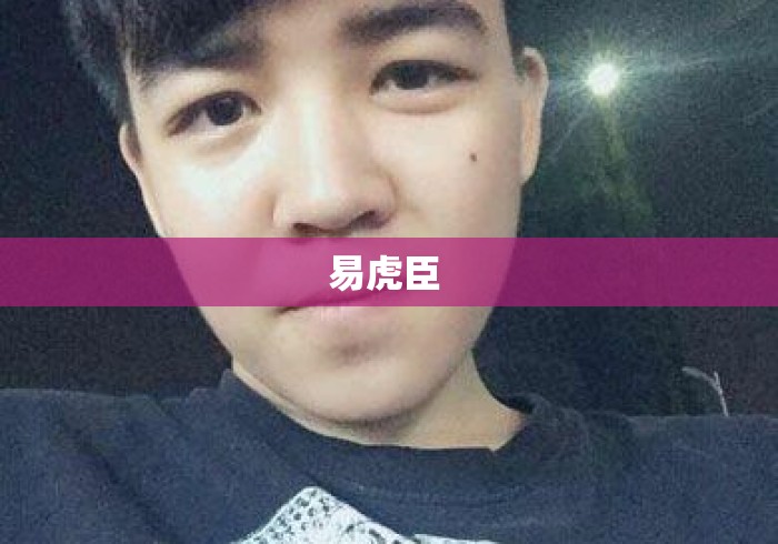 易虎臣 易虎臣