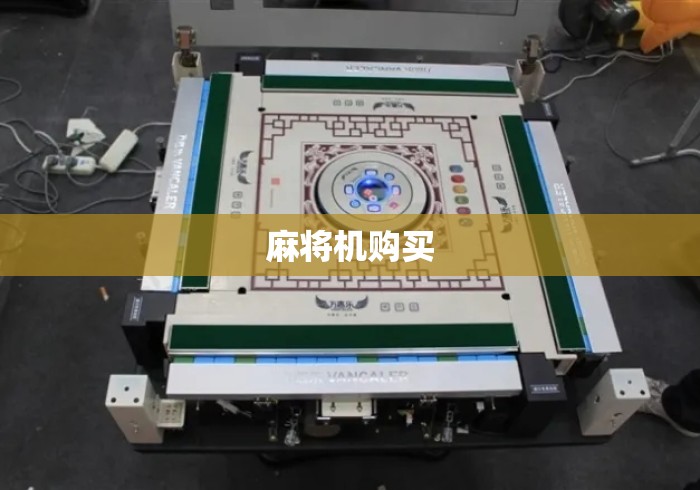 麻将机购买 麻将机购买