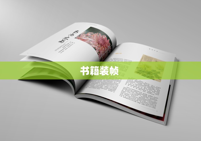 书籍装帧 