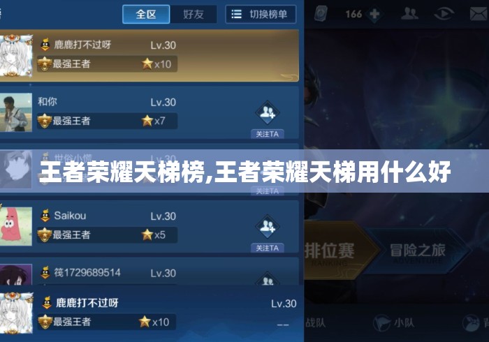 王者荣耀天梯榜,王者荣耀天梯用什么好