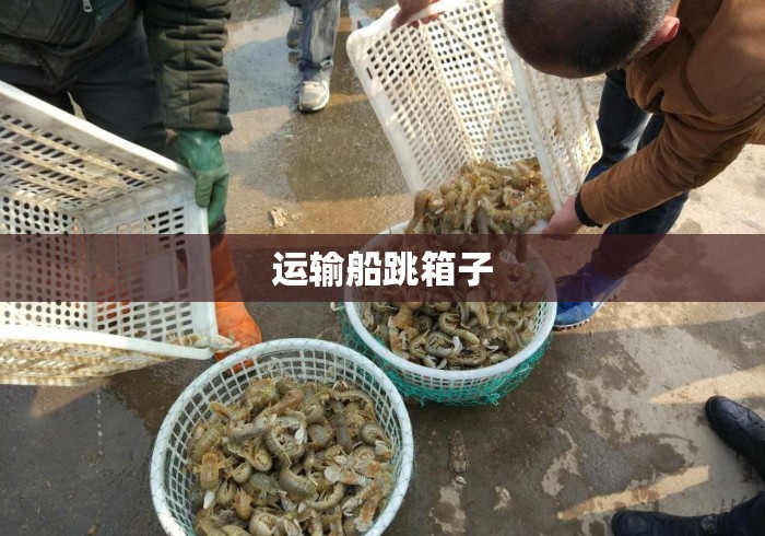 运输船跳箱子 运输船跳箱子