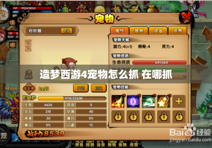 造梦西游4宠物怎么抓 在哪抓 造梦西游4宠物怎么抓 在哪抓