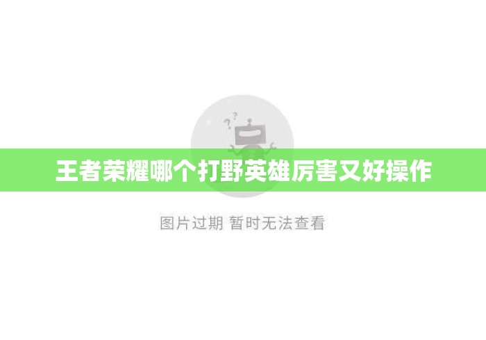 王者荣耀哪个打野英雄厉害又好操作 王者荣耀哪个打野英雄厉害又好操作