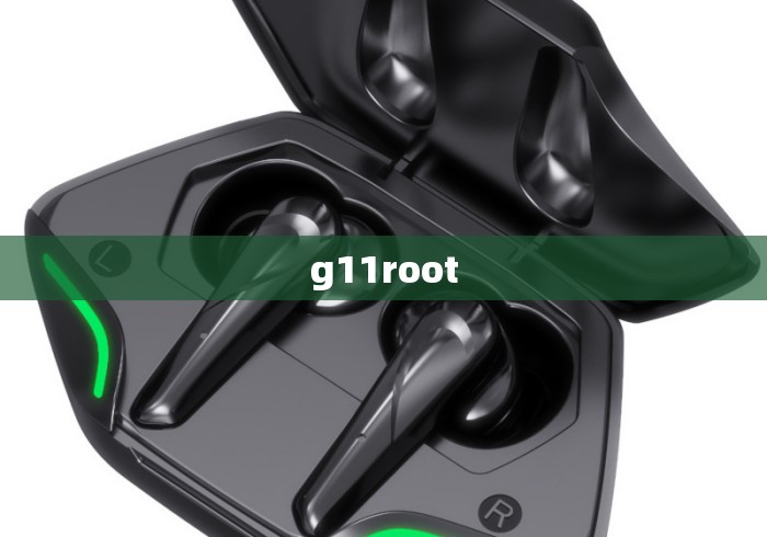 g11root g11root