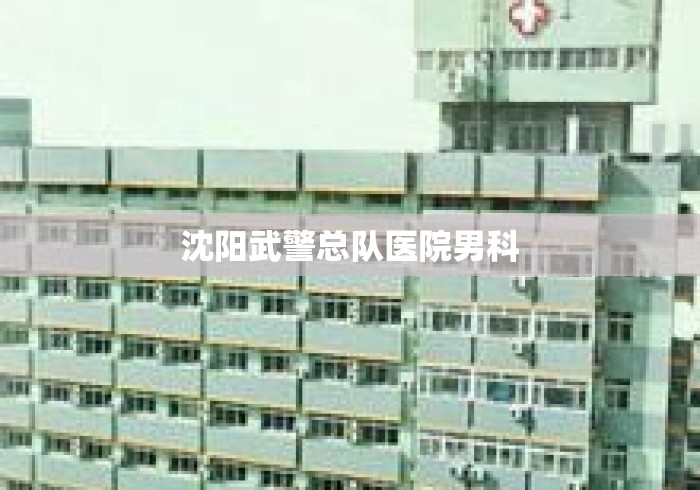 沈阳武警总队医院男科