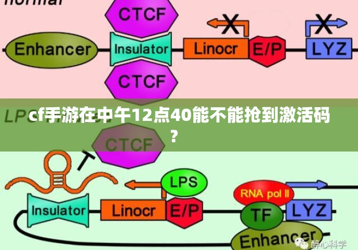 cf手游在中午12点40能不能抢到激活码? cf手游在中午12点40能不能抢到激活码?
