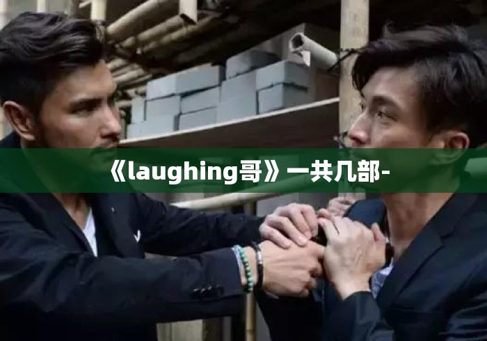 《laughing哥》一共几部-