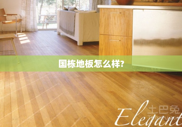 国栋地板怎么样?