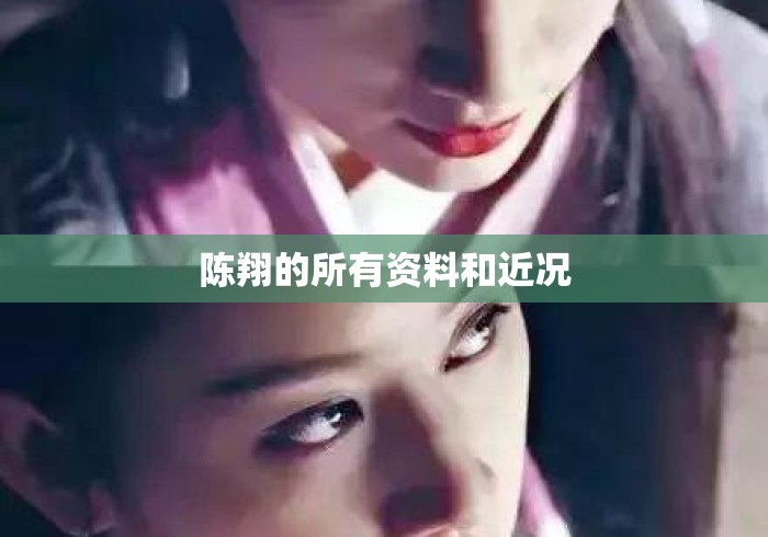 陈翔的所有资料和近况 陈翔的所有资料和近况