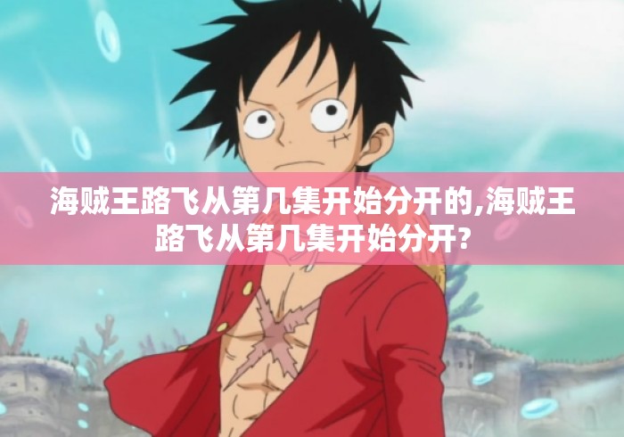 海贼王路飞从第几集开始分开的,海贼王路飞从第几集开始分开?
