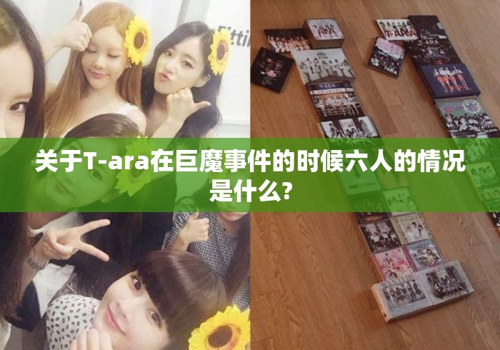 关于T-ara在巨魔事件的时候六人的情况是什么?