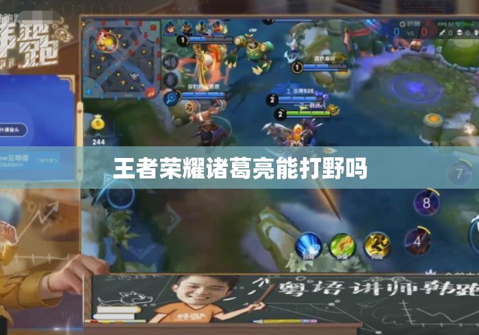 王者荣耀诸葛亮能打野吗