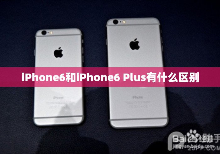 iPhone6和iPhone6 Plus有什么区别 iPhone6和iPhone6 Plus有什么区别