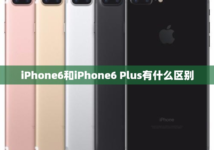 iPhone6和iPhone6 Plus有什么区别 iPhone6和iPhone6 Plus有什么区别