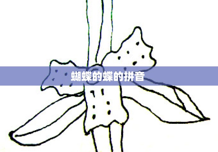 蝴蝶的蝶的拼音 蝴蝶的蝶的拼音