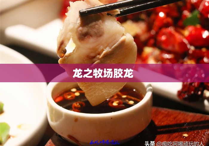 龙之牧场胶龙 