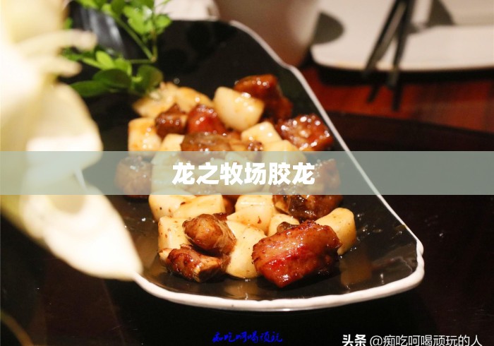 龙之牧场胶龙 