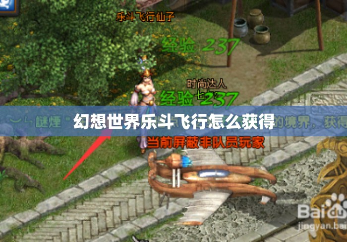 幻想世界乐斗飞行怎么获得