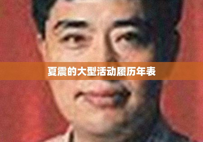 夏震的大型活动履历年表