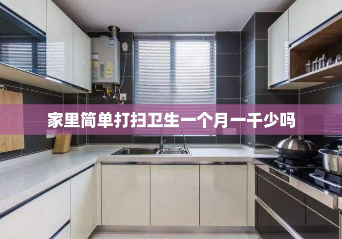 家里简单打扫卫生一个月一千少吗