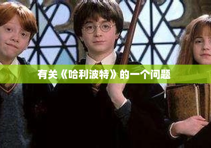有关《哈利波特》的一个问题 