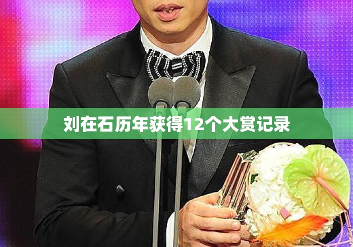 刘在石历年获得12个大赏记录 刘在石历年获得12个大赏记录