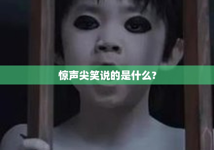 惊声尖笑说的是什么? 惊声尖笑说的是什么?
