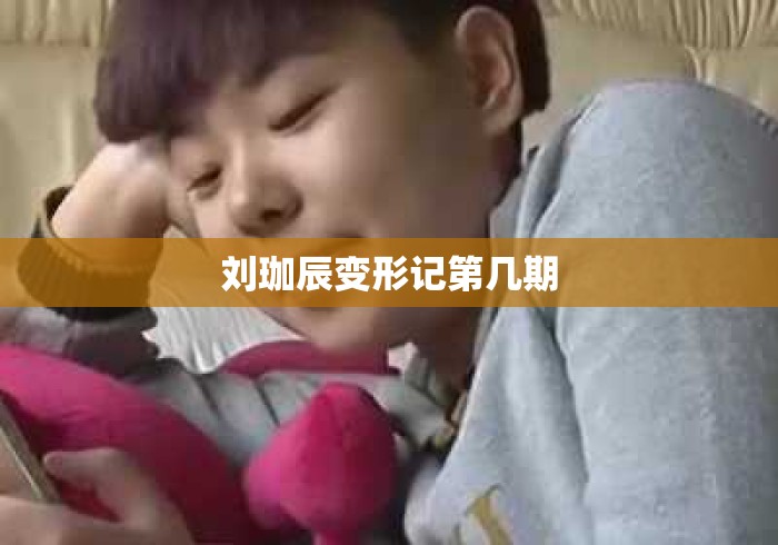 刘珈辰变形记第几期 刘珈辰变形记第几期