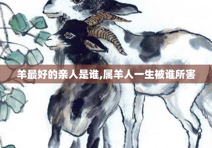 羊最好的亲人是谁,属羊人一生被谁所害 羊最好的亲人是谁,属羊人一生被谁所害