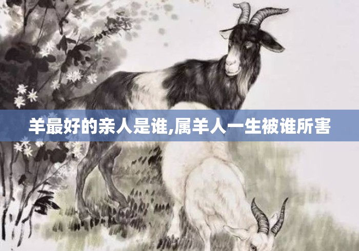 羊最好的亲人是谁,属羊人一生被谁所害 羊最好的亲人是谁,属羊人一生被谁所害