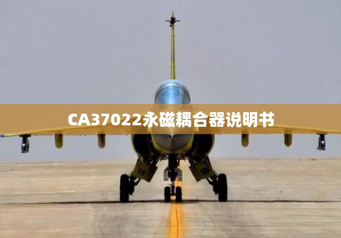 CA37022永磁耦合器说明书
