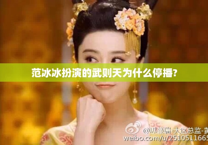 范冰冰扮演的武则天为什么停播? 范冰冰扮演的武则天为什么停播?