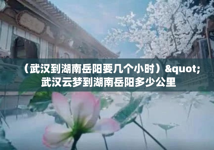 （武汉到湖南岳阳要几个小时）" 武汉云梦到湖南岳阳多少公里