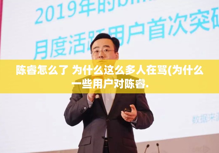 陈睿怎么了 为什么这么多人在骂(为什么一些用户对陈睿.