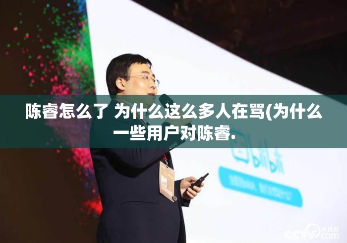 陈睿怎么了 为什么这么多人在骂(为什么一些用户对陈睿.