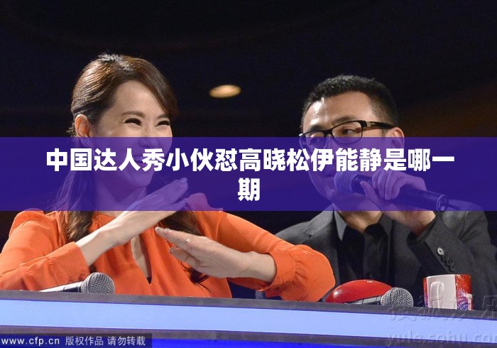 中国达人秀小伙怼高晓松伊能静是哪一期 中国达人秀小伙怼高晓松伊能静是哪一期