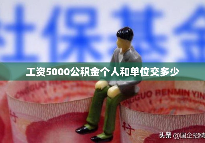 工资5000公积金个人和单位交多少 工资5000公积金个人和单位交多少