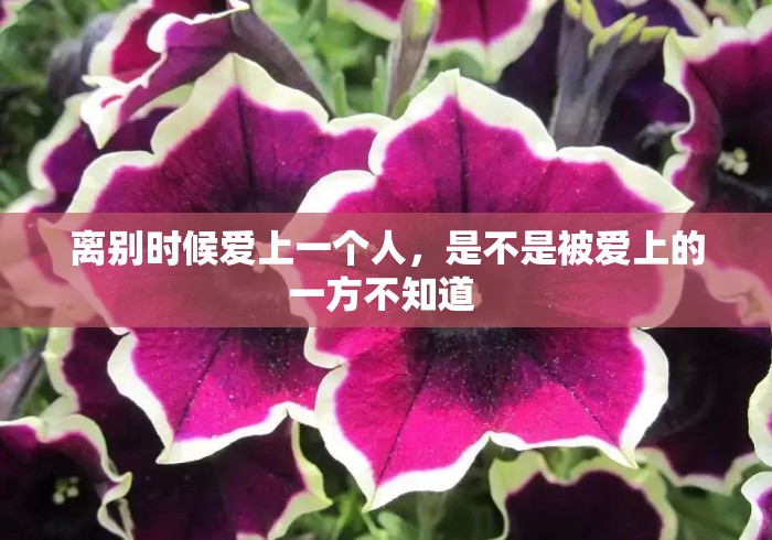 离别时候爱上一个人,是不是被爱上的一方不知道 离别时候爱上一个人,是不是被爱上的一方不知道