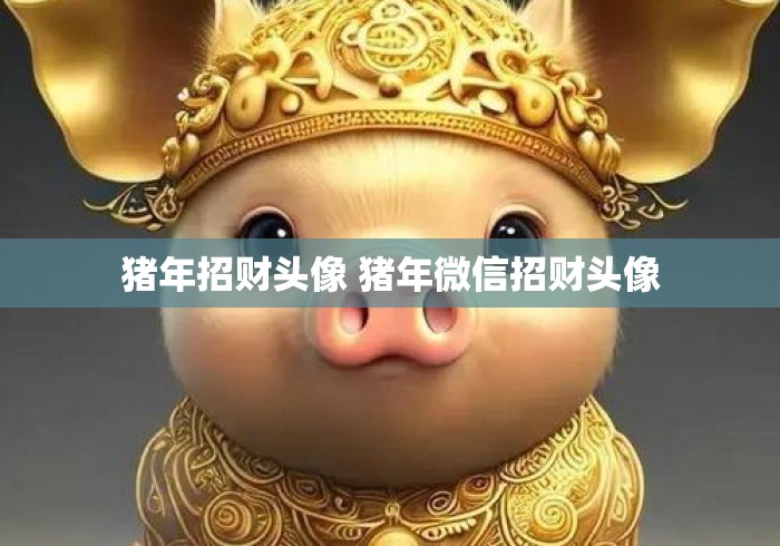 猪年招财头像 猪年微信招财头像