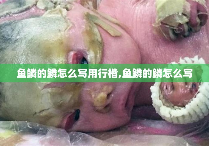 鱼鳞的鳞怎么写用行楷,鱼鳞的鳞怎么写